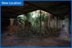 Cypress Knees Museum