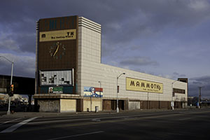 Mammoth Shopping Center